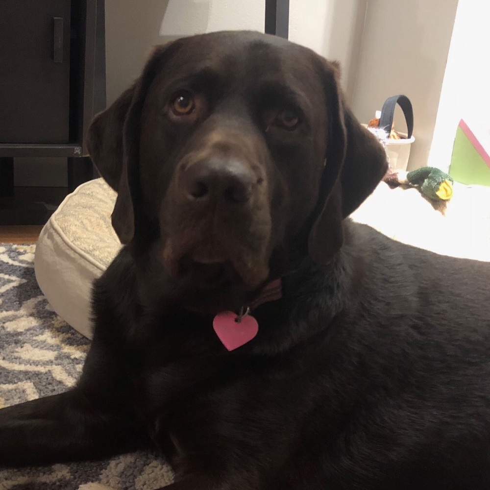 Meet your Posher, Kelly